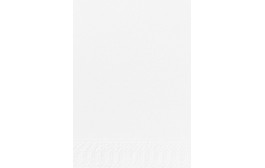 Duni Tissue Napkins 2ply 1/8 Bookfolded White